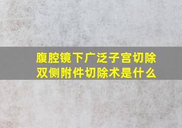 腹腔镜下广泛子宫切除 双侧附件切除术是什么